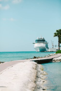 Bir yolcu gemisi, palmiye ağaçları ve durgun turkuaz sularla çevrili manzaralı bir sahil şeridine demir atar..