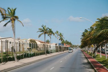 Bir kıyı yolu, güneşli bir günde tropikal bir atmosfer yaratan ılık bir esintide yavaşça sallanan palmiye ağaçlarını barındırır..