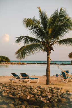 Palmiye ağaçlarının, şezlongların ve gün batımında sakin suların serinlediği sakin sahil bölgesi, dinlenmek için mükemmel..