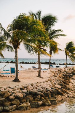 Plajda alacakaranlıkta sallanan palmiye ağaçları ve yakınlarındaki şezlonglar arasında hamaklar var..