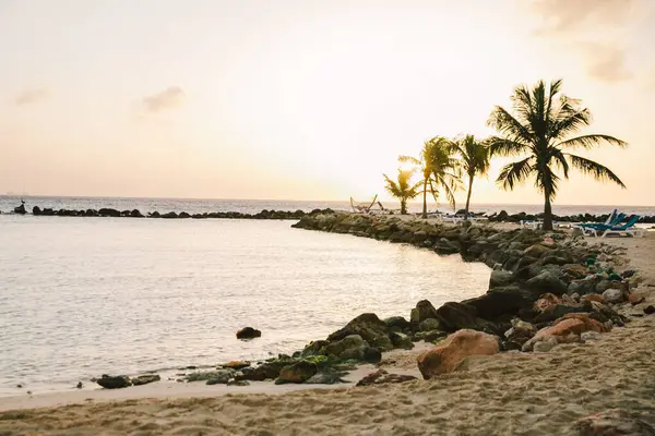 Gün batımında sakin bir sahil. Palmiye ağaçları ve kayalık kıyı şeridi batan güneşin ılık renklerini yansıtıyor..