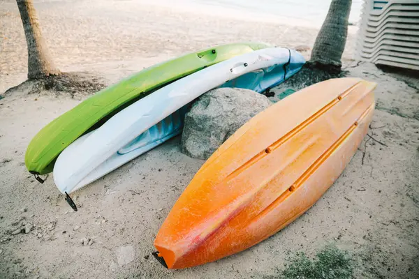 Palmiye ağaçlarıyla çevrili iki canlı kano kumun üzerine yerleştiriliyor ve bir günlük su macerasına davetiye çıkarıyorlar..