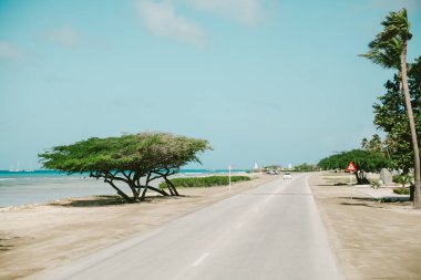 Sahil boyunca uzanan sakin bir sahil yolu, rüzgarda sallanan ağaçlarla aydınlık bir gökyüzünün altında..