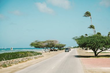 Bir araba, açık mavi bir gökyüzünün altında okyanus kenarında sallanan palmiye ağaçları ile sahil yolu boyunca ilerliyor..