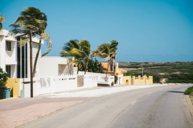 Parlak bir gün, palmiye ağaçlarının ve renkli evlerin güzelliğini yakalar sakin bir sahil yolu oluşturur, keşiflere davetiye çıkarır..
