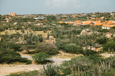 Geniş çöl arazisi Aruba 'da mavi gökyüzünün altında kaktüsler ve geleneksel evler barındırır..