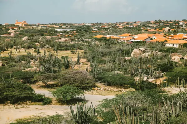 Geniş çöl arazisi Aruba 'da mavi gökyüzünün altında kaktüsler ve geleneksel evler barındırır..