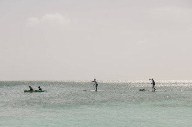 Güneşli bir günde kaykaycılar yakınlarda toplanırken, sörfçüler sakin sularda süzülüyorlar..