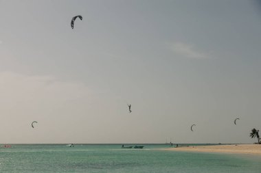 Uçurtma sörfçüleri, güneşli bir günde tropik bir sahilde yeteneklerini sergileyerek turkuaz suların üzerinde süzülürler..