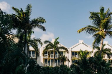 Güneşli bir günde tropikal bir yerde huzurlu bir atmosferi gösteren palmiye ağaçlarıyla çevrili güzel bir tatil köyü..
