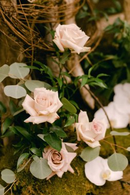 Yeşillikle sarmalanmış yumuşak pembe güller doğal bir çiçek düzeninde sakinleştirici bir atmosfer yaratır..
