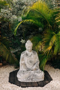 Huzurlu bir Buda heykeli, huzurlu bir bahçedeki canlı yeşilliğin ortasında dairesel ahşap bir platformun üzerinde duruyor..