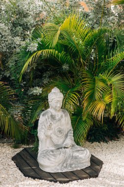 Bir Buda heykeli, canlı tropikal bitkiler ve beyaz taşlarla çevrili tahtalar üzerinde huzur içinde oturur..
