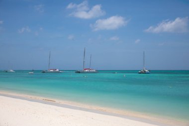 Yelkenliler turkuaz sularda berrak mavi gökyüzünün altında sakin kumlu bir plajın yanında huzur içinde yüzerler..
