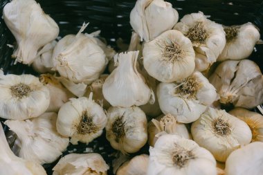 Taze sarımsak soğanları dokuma sepetinde toplanır, doğal dokularını ve görünüşlerini sergilerler..