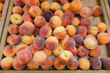 Taze şeftaliler açık hava pazarında ahşap bir sandıkta bir araya toplanır. Canlı renkleri ve dokuları sergilenir..