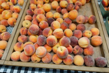 Müşteriler yaz boyunca hareketli bir çiftçi pazarında olgunlaşmış şeftali dolu canlı sepetleri keşfediyorlar..