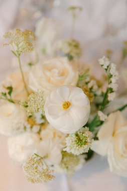 Zarif beyaz güller ve yeşillik düğünler ve kutlamalar için doğal güzellikler sergiliyor..