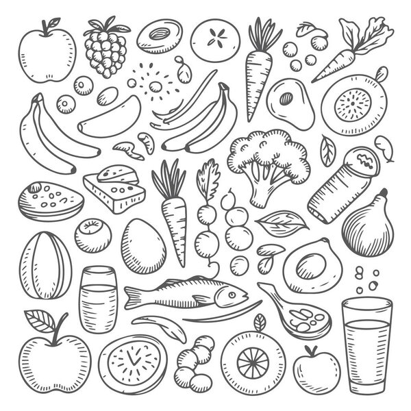 Set of nutrition doodle on white background. Hand drawn abstract doodle isolated on white background.