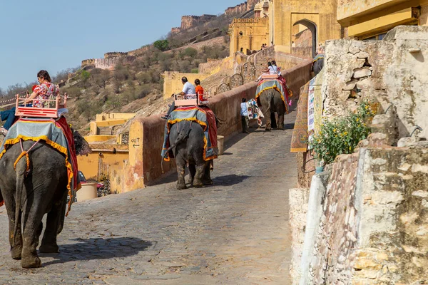 Passeio Elefante Amber Palace Jaipur Índia — Fotografia de Stock