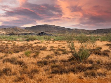 İspanya 'daki Tabernas Çölü Sierrra Nevada' nın panoramik görüntüsü