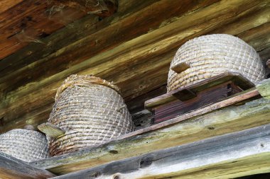 Eski örülmüş arı kovanları bir evin altında, Almanya