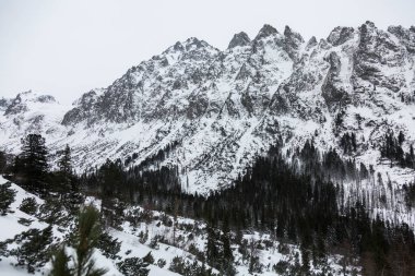 Karlı dağlar ve Yüksek Tatra Dağları 'nda etkileyici bir kaya duvarı - Slovakya' daki dağ sırası ve ulusal park