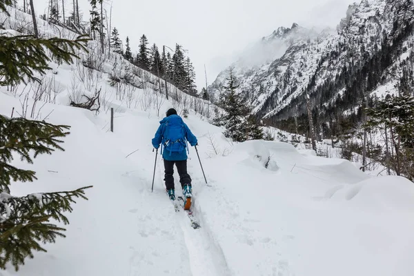Guia Turístico Esqui Lidera Grupo Uma Área Serrana Perigosa Para — Fotografia de Stock