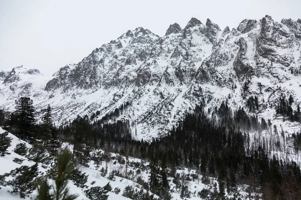 雪の山と高タトラ山脈の印象的な岩壁 スロバキアの山の範囲と国立公園 — ストック写真