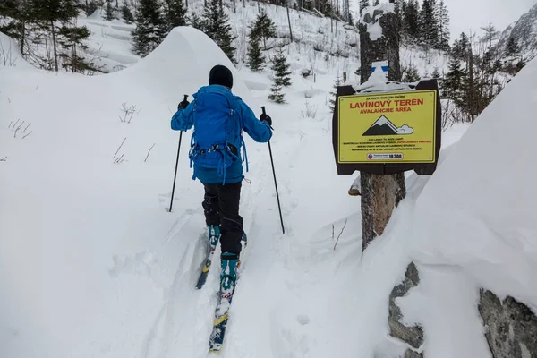 Ski Tour Οδηγός Οδηγεί Την Ομάδα Μια Χιονοστιβάδα Επικίνδυνη Backcountry — Φωτογραφία Αρχείου