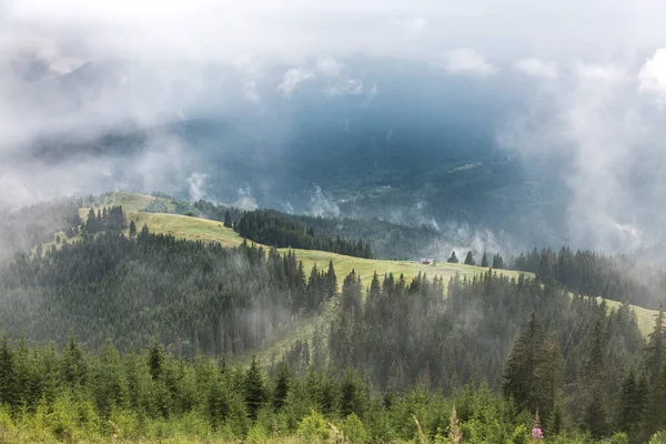 Prado Verde Cordilheira Floresta Nevoeiro Profundo Cinzento Nuvens Montanhas Dos — Fotografia de Stock