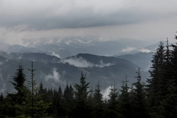 Gri Sisli Karanlık Orman Sıradağları Yükselen Bulutlar Karpatlar Kornogora Ukrayna — Stok fotoğraf