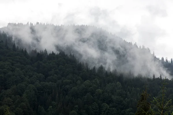 Gri Sisli Karanlık Orman Sıradağları Yükselen Bulutlar Karpatlar Kornogora Ukrayna — Stok fotoğraf