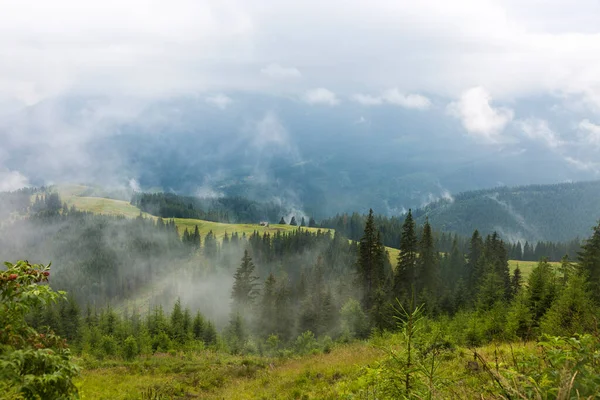 Prado Verde Cordilheira Floresta Nevoeiro Profundo Cinza Nuvens Ascensão Montanhas — Fotografia de Stock