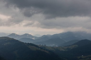 Karpatlar 'ın dağlarında, Chornogora' da, Ukrayna 'da sisli, gri, derin bir sis içinde karanlık orman sıradağları.