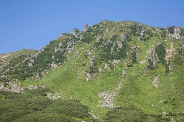 Muntele Rocky Shpytsi Printre Dealurile Muntoase Ierburi Acopera Iarba Verde — Fotografie, imagine de stoc
