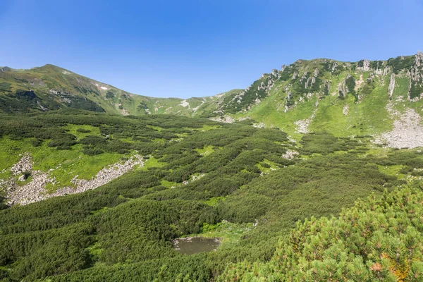 Widok Masyw Górski Shpytsi Czarnogora Karpackich Lasach Świerkowych Koncepcja Podróży — Zdjęcie stockowe