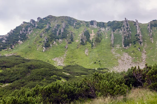 Montaña Rocosa Shpytsi Entre Colinas Montaña Cubiertas Hierba Verde Exuberante —  Fotos de Stock