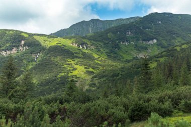 Karpat ladin ormanlarındaki Kornogora Dağı 'nın manzarası, seyahat konsepti.