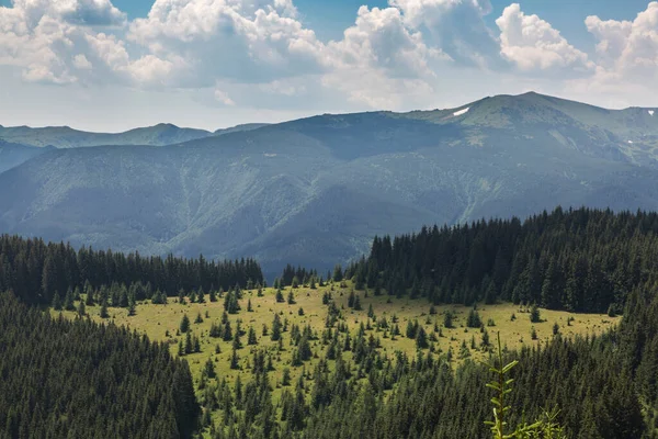 Karpatlar Ladin Ormanlarındaki Chornogora Dağlarının Manzarası Açık Hava Konsepti — Stok fotoğraf