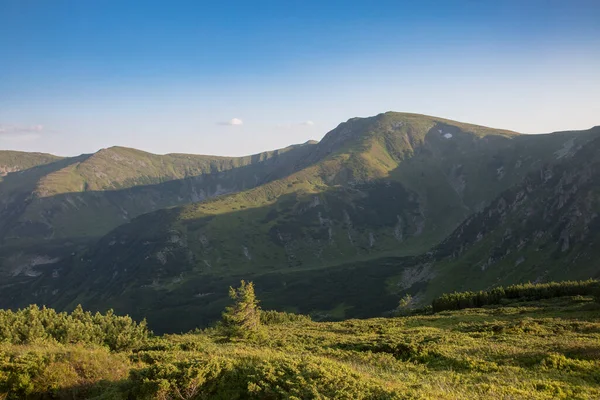 Θέα Του Βουνού Rebra Της Chornogora Ορεινό Όγκο Στα Δάση — Φωτογραφία Αρχείου