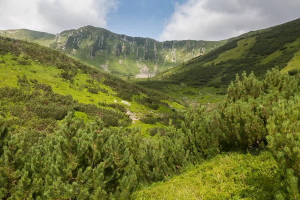 Widok Górę Szpytsi Masywu Czarnogórskiego Karpatach Świerkowych Lasów Koncepcja Podróży — Zdjęcie stockowe