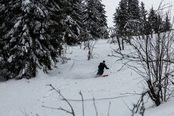 Skieur Freeride Sur Une Pente Terrain Arrière Pays Entre Les — Photo