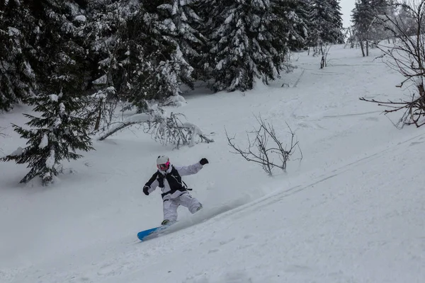 Freeride Snowboarder Terreno Serrano Inclinação Entre Árvores Cobertas Neve Paisagem — Fotografia de Stock