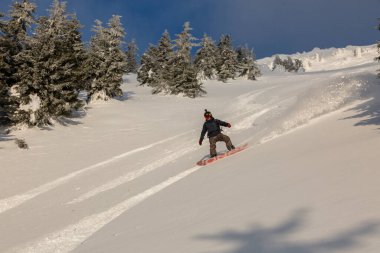 Marmarosy, Karpatlar, UKRAINE - 22 Şubat 2022: Aktif bir adam, kırsal bir dağlık arazide, karlı bir yamaçta serbest kalan bir snowboard 'a biniyor.