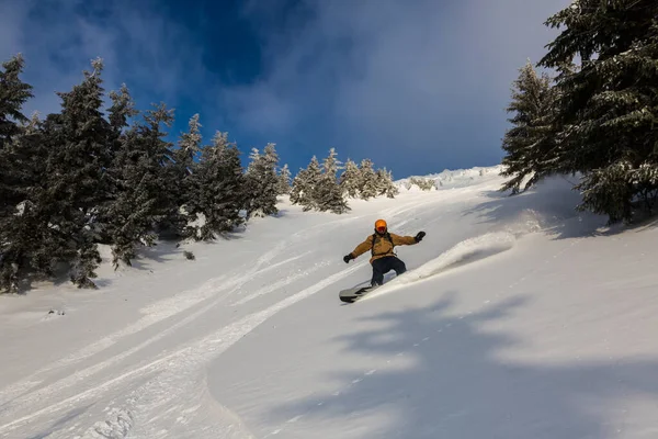 Marmarosy Carpathians Ukraine Feb 2022 一个活跃的人骑在雪板上 在高山腹地的雪坡上自由驰骋 — 图库照片