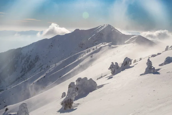 Schneebedeckte Bergkette Mit Fichten Die Unter Dem Windigen Himmel Mit — Stockfoto