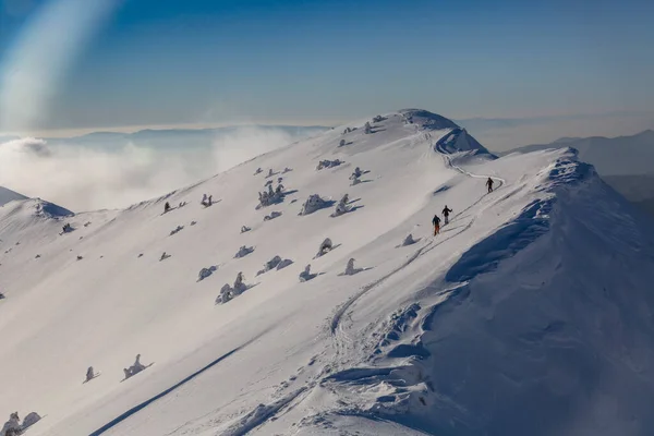기사보기 스키등 산가들 백지에 눈덮인 정상에 오르며 아드레날린이 넘치는 모험을 — 스톡 사진