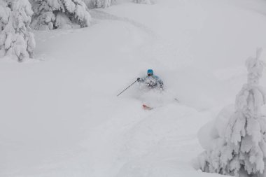 Aktif bir kayakçı eğildi ve frenler serbest yamaçta derin kar püskürtüyor. Serbest, kış sporları açık havada