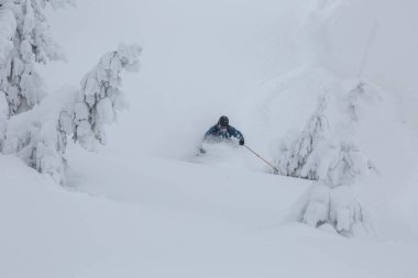 Kayakçı, kırsal arazinin dik yamacında, ormanda derin bir kar tozu içinde hareket ediyor. Serbest, kış sporları açık havada